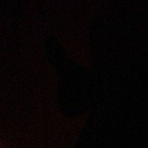 Meet your Posher, Emilio